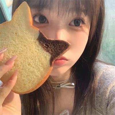 浴血记者
