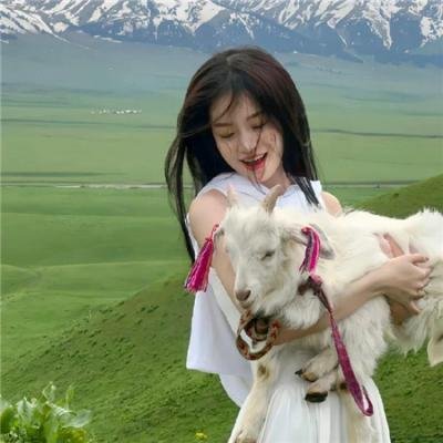泡妞大师