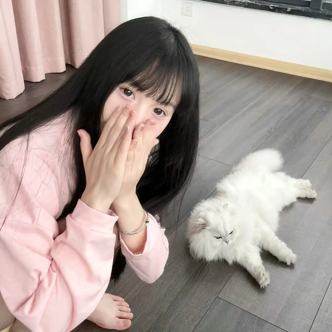 九星报喜