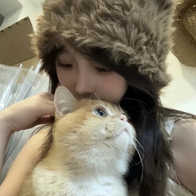 联合政府